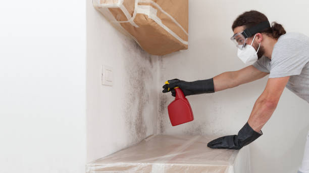 Professional Crawl Space Mold Removal technician working in Rockford, MN